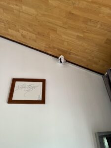 Img 8899